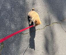 なんでもお話し聞きます イメージ1