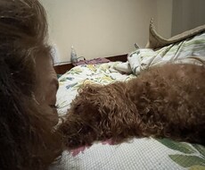 些細なことでも聞きます イメージ1