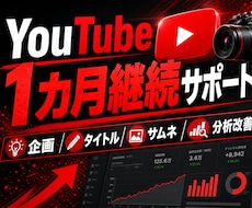 YouTubeを1カ月間継続サポートします イメージ1