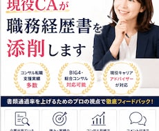 コンサル転職に強い現役CAが職務経歴書を添削します イメージ1