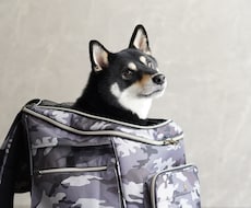 あらゆるペット用品の撮影を承ります イメージ1