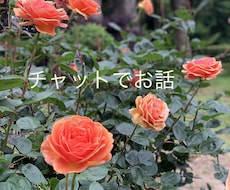30分トークルームでチャットします イメージ1