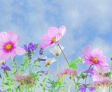 大切な人を失った方。辛さや悲しみ苦しみ全部聞きます イメージ1