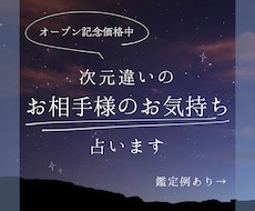 次元違いのお相手様のお気持ちを占います 思考・感情・願望の視点からお相手様の本音を丁寧に読み解きます