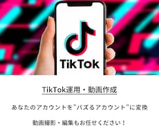 バズるTikTok動画作成します イメージ1