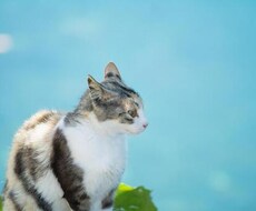 あなたの気持ちをちゃんと受け止めます イメージ1