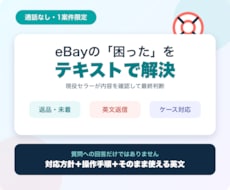 eBayの困りごと一件を24時間以内に解決します イメージ1