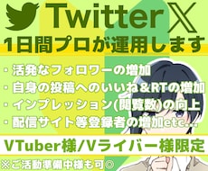 VTuber専用！プロがTwitterを運用します イメージ1