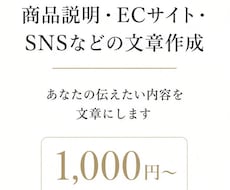 伝えたい内容から商品説明・PR文章を作成します イメージ1