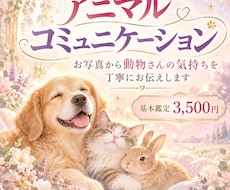 お写真からペットさんの気持ちを丁寧にお伝えします イメージ1