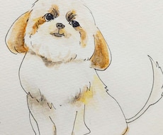 ペットや動物の写真をイラスト化します イメージ1