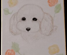 ワンちゃんのイラストを水彩色鉛筆で描きます イメージ1