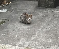あなたの愚痴、お悩み聞きます イメージ1
