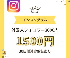 インスタフォロワー2000人増やします イメージ1