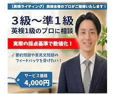 プロが添削！英検ライティングを徹底指導します ☆実際の採点基準（4観点）で点数化！