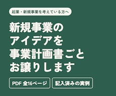 新規事業アイデアと事業計画書をPDFでお渡しします イメージ1