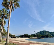 愚痴でも心配事でも相談でもなんでも聞きます イメージ1