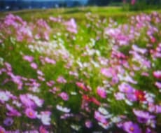 彼や彼女の気持ちを視ます どんな事でもオーラや透視します。