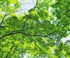 どうしたら？なぜ？のお悩みを解消します イメージ1
