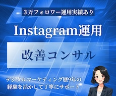 Instagramの運用の改善アドバイスをします イメージ1