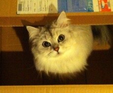 人生の幸せの為に自分の磨き方をお伝えします