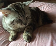 恋のお悩み相談のります イメージ1