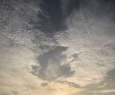 沖縄の写真撮ります イメージ1