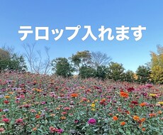 テロップ入れ＆見やすくカットします 動画を見やすくカット！コメントテロップを入れます