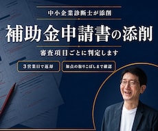 補助金申請書を添削して採択される可能性を上げます 審査項目ごとに判定｜加点の取りこぼしまで確認します