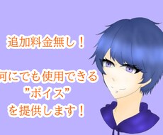 何にでも使用できるボイス依頼承ります