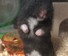 お話し相手に！私がなります イメージ1