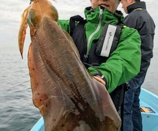釣り歴40年が魚釣り（初級～中級）の相談にのります テンヤ、ボートエギング、フカセ、ヤエン、投げ釣りの仕掛け