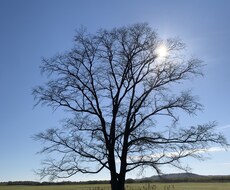 サービス業に関してのお悩み解決のお手伝いをします イメージ1