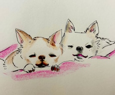 あなたの大好きなペットなどをイラストにします イメージ1
