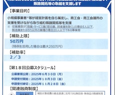 小規模事業者持続化補助金の採択計画書を提供します イメージ1