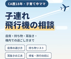 CA歴18年ママが子連れ飛行機の不安に答えます イメージ1