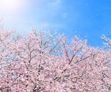 1、3、5年後あなたは一体どうなるのかを占います チャットで相談後、完全オーダーメイドで人生鑑定します