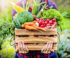 食育セミナー(添加物・農薬など)を開催します イメージ1
