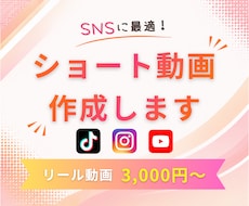 再生回数を伸ばす!SNSショート動画を編集します イメージ1
