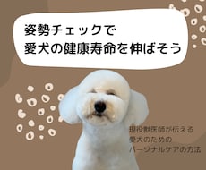 愛犬の姿勢から健康状態をチェックします イメージ1