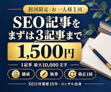 初回1500円でSEO記事を3本まで執筆します イメージ1