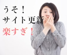 １ヶ月間何度でもサイトの更新お手伝いします 日々のホームページの更新が面倒で他人にお任せしたい方