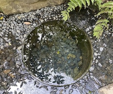 気持ちを整理したいときの優しい傾聴サービスをします イメージ1