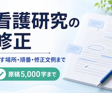 看護研究の指摘を整理し修正案まで提案します イメージ1