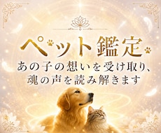 天啓ペット霊視 | 愛するペット様の想いを伝えます 大切な我が子の言葉にできないあなたの願いを受け取りお伝えする