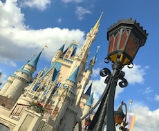 ディズニー好き必見★ディズニーワールドを教えます