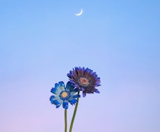 話し相手になります！どんなお話でもお聞きします イメージ1
