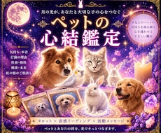 大切なペットがあなたに伝えたい想いを届けます 飼い主さんと心を繋ぐペットタロット！虹の橋の子にも対応