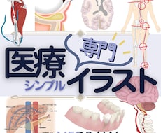 医療専門イラスト◆現役の医療従事者が描きます 学会、論文、資料、書籍などにご使用いただるシンプルなイラスト