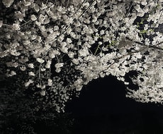 皆様のお悩み占います